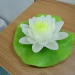Апартаменты Terrace